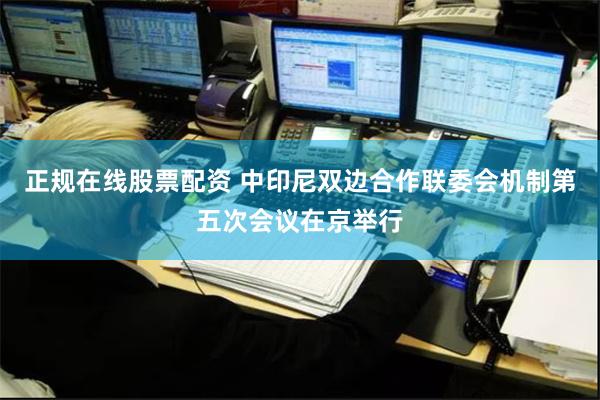 正规在线股票配资 中印尼双边合作联委会机制第五次会议在京举行